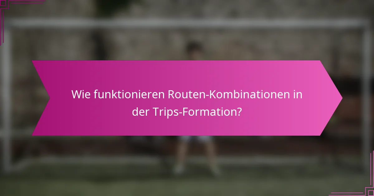 Wie funktionieren Routen-Kombinationen in der Trips-Formation?