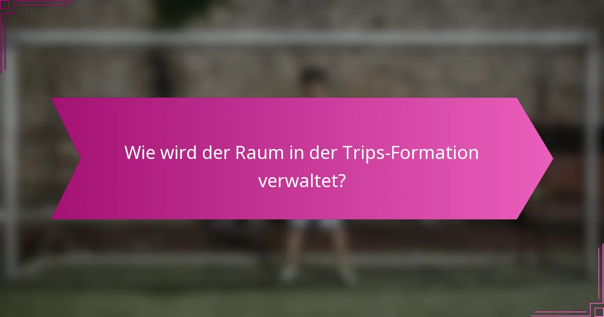 Wie wird der Raum in der Trips-Formation verwaltet?